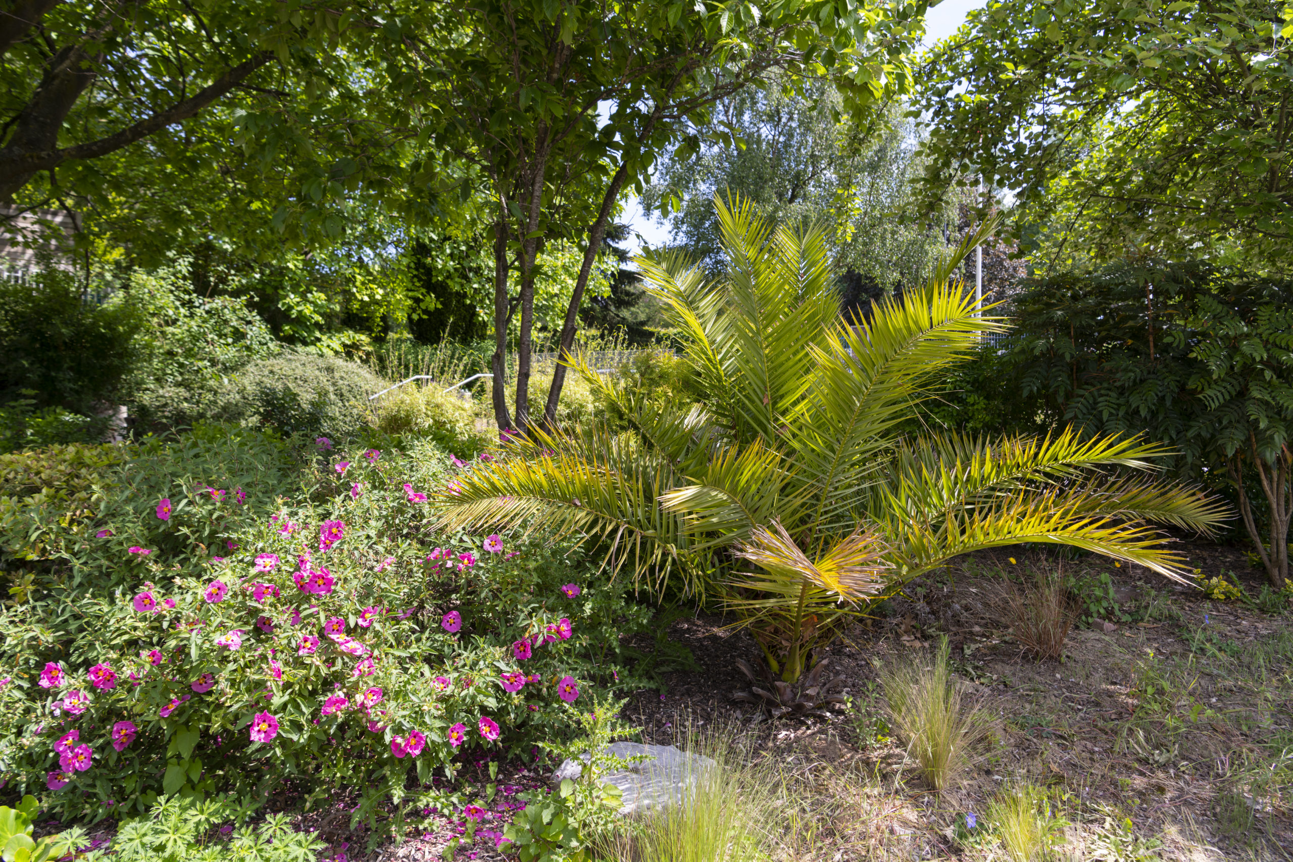 lieux de vie les Bateliers